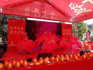 远洋风景盛大开盘