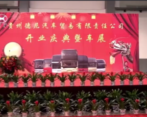 德尼汽车贸易有限责任公司开业庆典